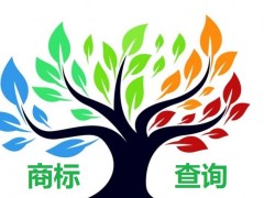 如何應(yīng)對商標查詢盲期？