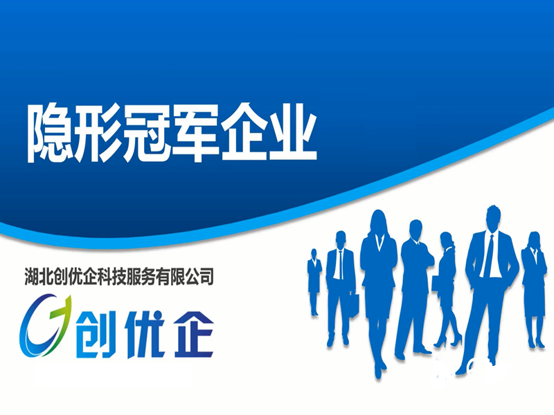 湖北省支柱產業細分領域隱形冠軍企業申報-政策解讀